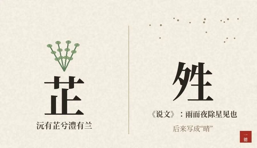 芷晴这个名字怎么样：一株香草，一个雨后放晴的夜